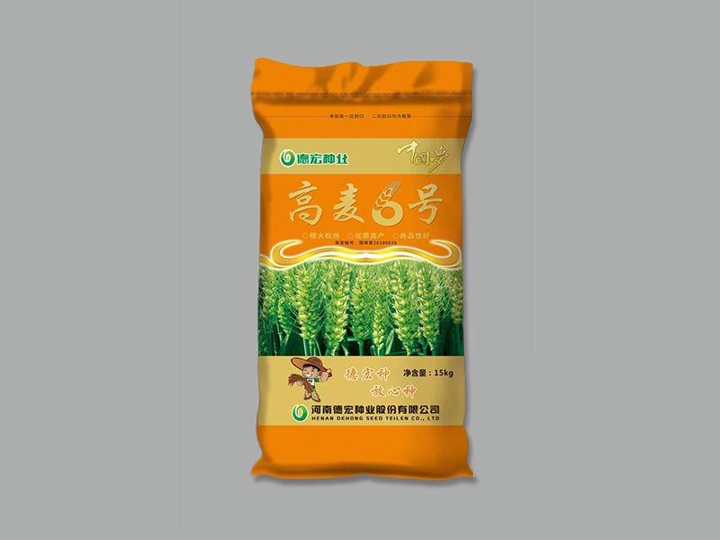 高麦6号
