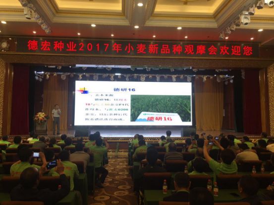 OG东方馆网页批改1089